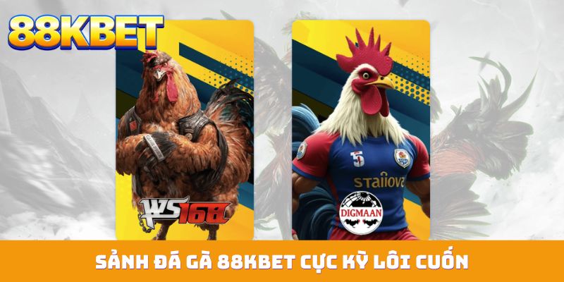 Sảnh đá gà 88KBET cực kỳ lôi cuốn